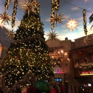 Meet your Posher, Annette